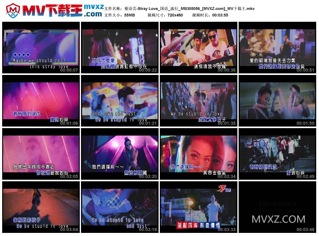 蔡诗芸-Stray Love_国语_流行_MB305056